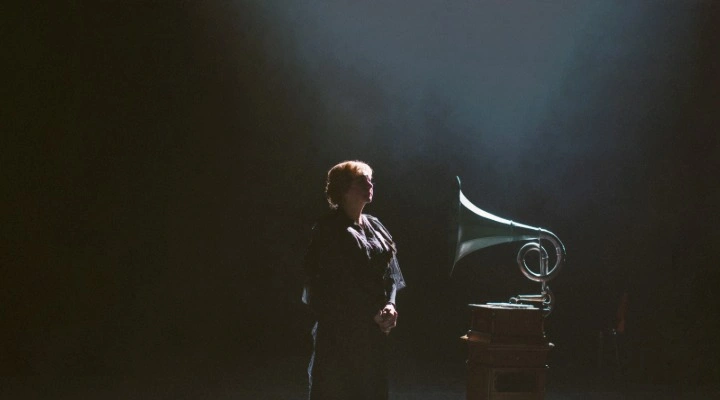 Васса Железнова (Гастроли МХАТ им. М. Горького)