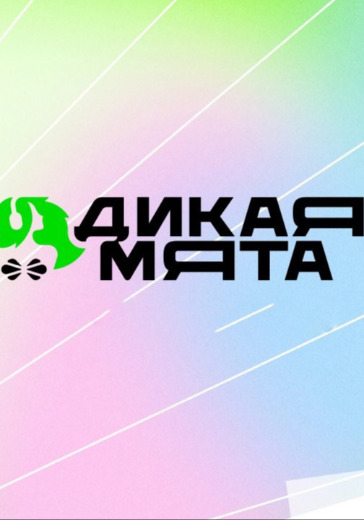 Фестиваль «Дикая Мята» в Туле: билеты