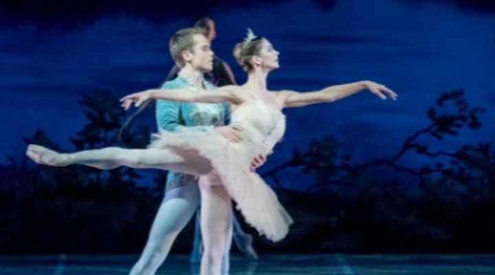 Спящая красавица