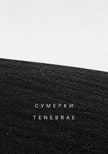 Музыкальный перформанс «Сумерки» Музыкальный перформанс «Сумерки» в Перми: билеты