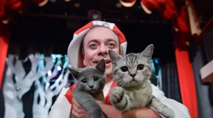 Котобум!