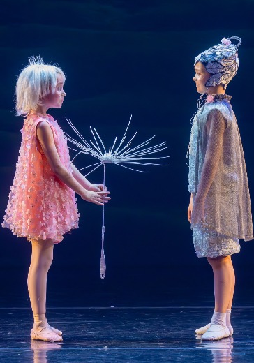 Балет «Дюймовочка» в Москве: билеты