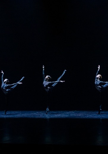 Выпускной концерт Академии танца Бориса Эйфмана в Санкт-Петербурге: билеты