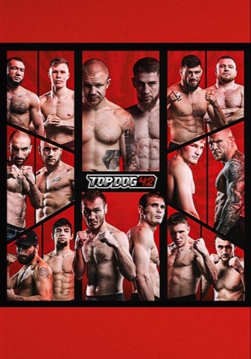 Конференция перед турниром TOP DOG 42: билеты