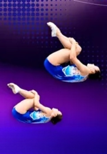 Чемпионат России по прыжкам на батуте Чемпионат России по прыжкам на батуте в Санкт-Петербурге: билеты