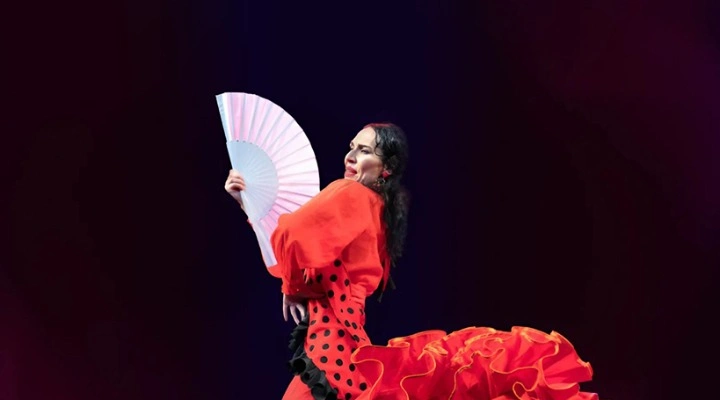 Фламенко Каприччио (Flamenco Capriccios) Фламенко Каприччио (Flamenco Capriccios)