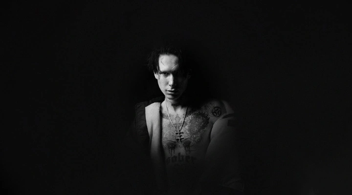 Найнмайс (9mice)