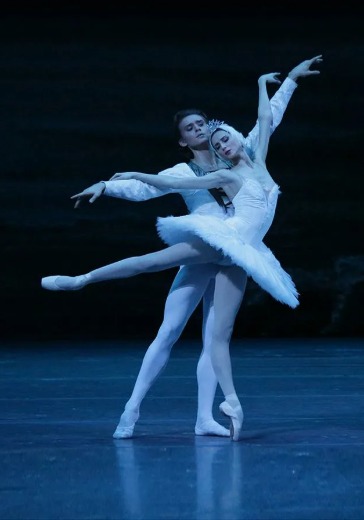 Балет «Лебединое озеро». Театр балета Юрия Григоровича в Сочи: билеты