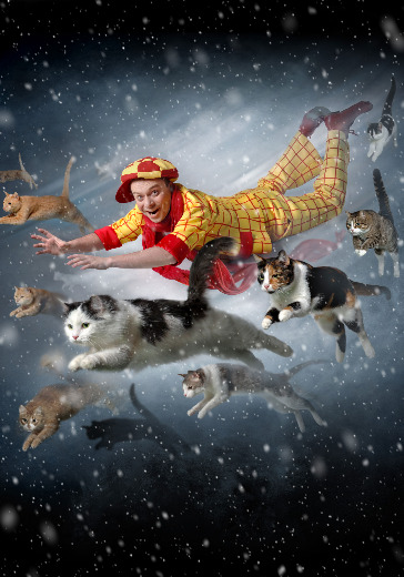 Спектакль театра кошек Куклачева «Котобум!» Спектакль театра кошек Куклачева «Котобум!» в Москве: билеты