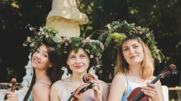 Балерина в гостях у скрипки»