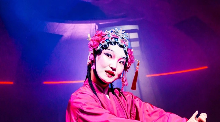 Я не убивала своего мужа (гастроли Театра Наций)