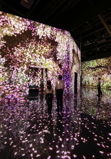 Посещение Arte Museum Dubai в Дубае: билеты