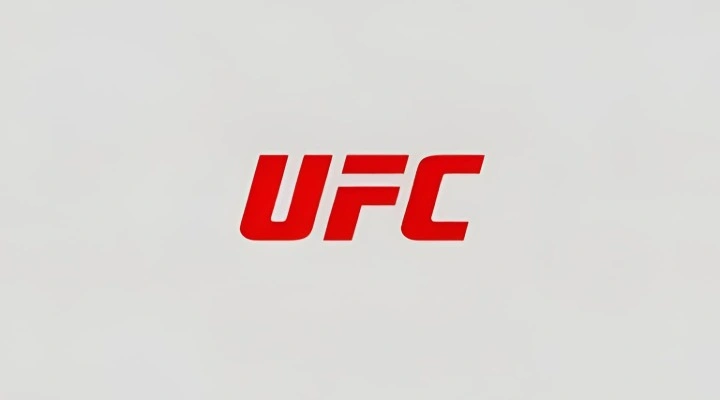 UFC 333