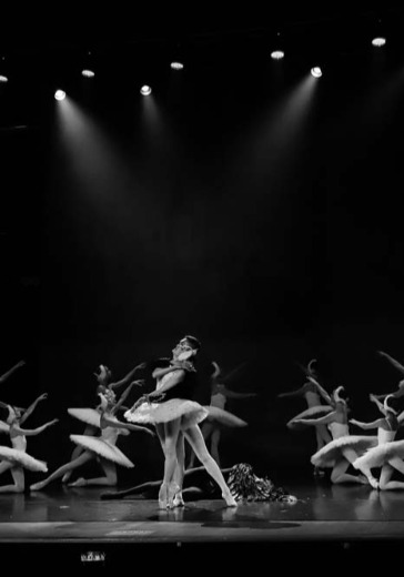 Балетный спектакль «Лебединое озеро» (Гастроли Театра Детского Балета)  в Санкт-Петербурге: билеты