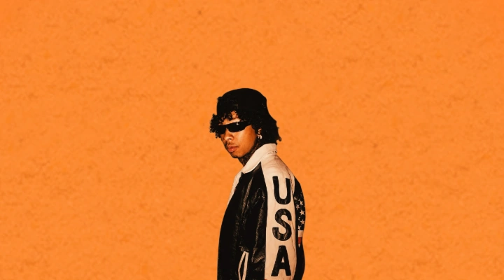 Тайга (Tyga)