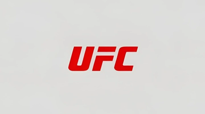 UFC 333